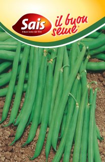 Slenderette baccello verde - 500 grammi