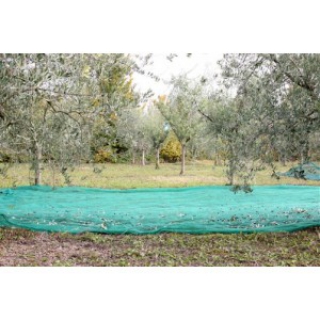 Rete raccolta olive e frutti mt 6X12