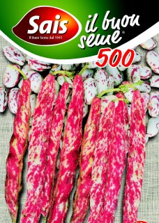 Fagiolo nano - 1463 Fiorino - 100 grammi