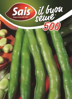 Fava Lunga delle Cascine - 500 grammi