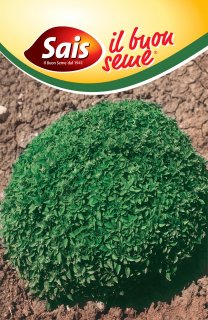 Greco a palla - 50 grammi