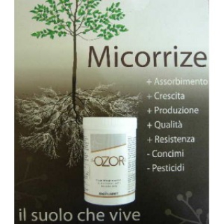 Micorrize