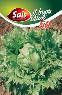Iceberg Regina dei ghiacci - 50 grammi