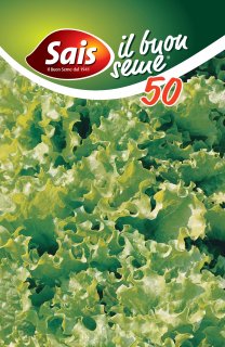 Bionda a foglia riccia - 50 grammi