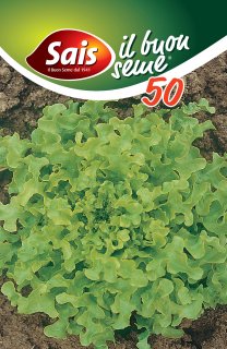 Salad Bowl Italia - 50 grammi