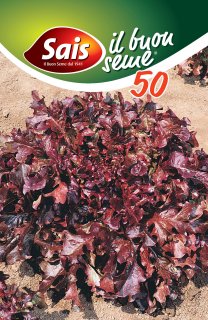 Red Bowl Italia - 50 grammi