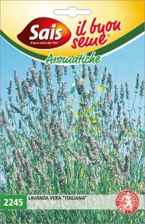 Lavanda vera