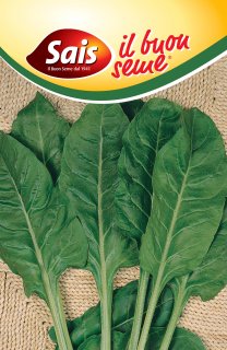 Liscia verde da taglio - 500 grammi