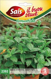 Menta x piperita - Menta pepe 2392