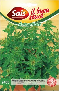 Origano Italiano a fiore violetto 2405