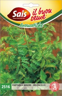 Pimpinella minore - Meloncello 2516