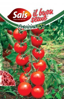 Pomodoro Chipano F.1 - 50 semi circa