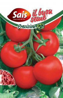 Pomodoro Corfù F.1 - 50 semi circa