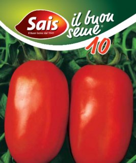 Pomodoro Roma VF - 10 grammi