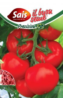 Pomodoro Akrai F.1 - 50 semi circa