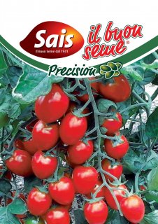Pomodoro Dolcetto 2826 - 25 semi circa