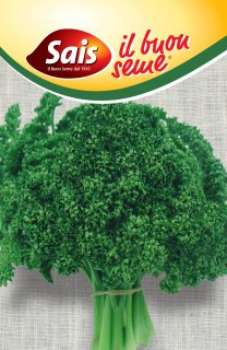 Prezzemolo Riccio muschiato - 50 grammi