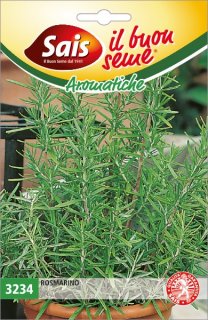 Rosmarino 3234