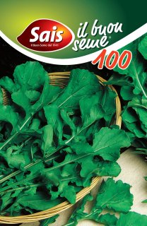 Rucola a foglia lobata - 100 grammi