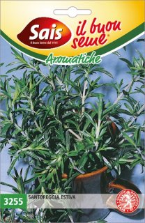 Santoreggia estiva 3255