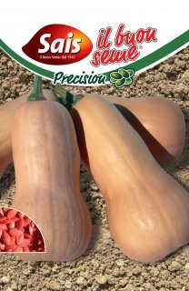 Zucca Avalon F.1 - 50 semi circa