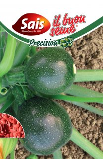 Zucchino Eight Ball F.1 - 40 semi circa