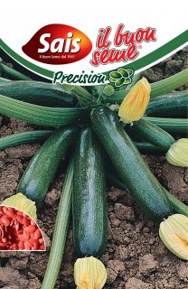 Zucchino Ambassador F.1 - 40 semi circa