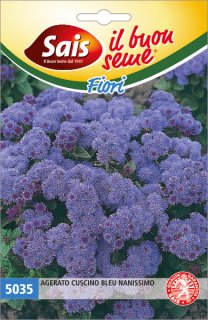Agerato cuscino bleu nanissimo 5035
