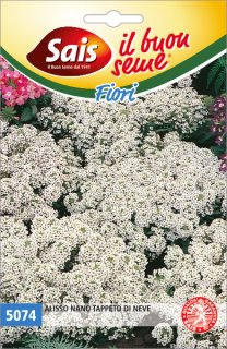 Alisso nano tappeto di neve 5074