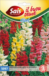 Bocca di leone alta in miscuglio 5097