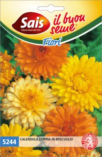 Calendula doppia in miscuglio 5244