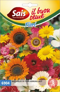Miscuglio di fiori annuali 6904