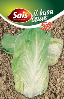 Pan di zucchero - 50 grammi