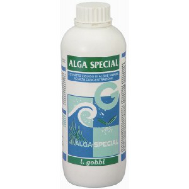 Alga Special