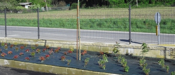 Rete per pacciamatura 2.10 mt x 50,00 mt