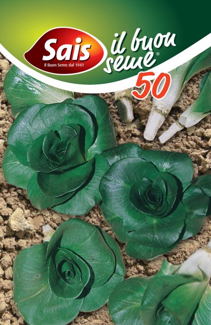 Cicoria a grumolo verde scuro - 50 grammi - 911 ESAURIM.