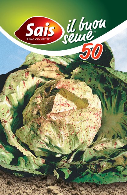 Cicoria variegata di Lusia - 50 grammi - 941 ESAURIMENTO