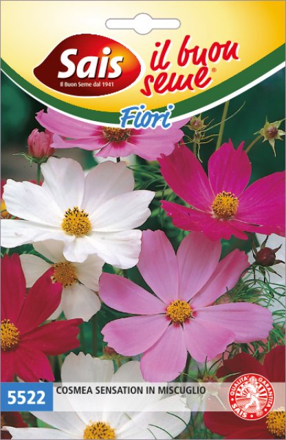 Cosmea sensation in miscuglio 5522 AD ESAURIMENTO