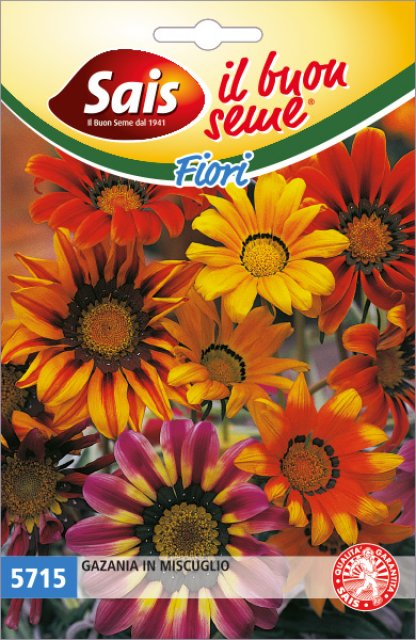 Gazania in miscuglio 5715 AD ESAURIMENTO