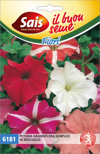 Petunia grandiflora in miscuglio 6181 AD ESAURIMENTO