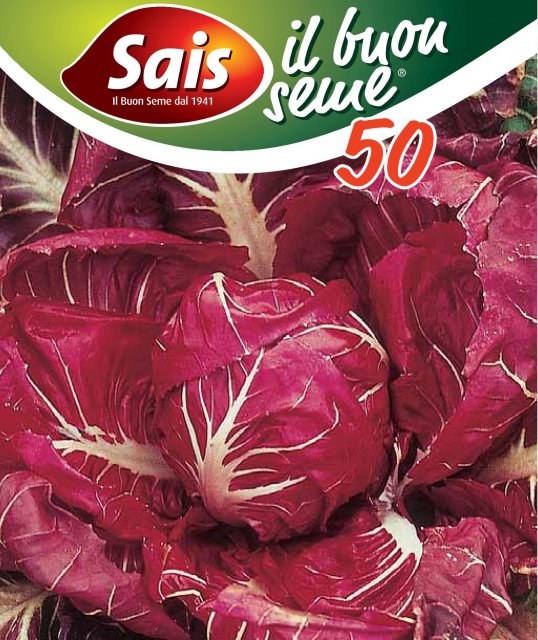 Radicchio Rosso di Verona precoce - 50 grammi - 944 ESAURIM.