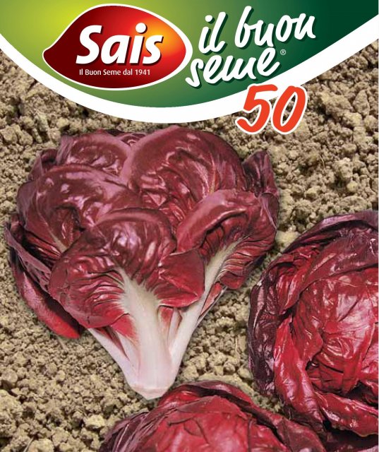 Radicchio Rosso di Verona tardivo - 50 grammi - 945 ESAURIM.