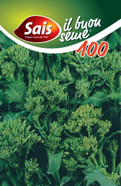 Rapa Novantina a testa grossa - 100 grammi - 3084 ESAURIM.